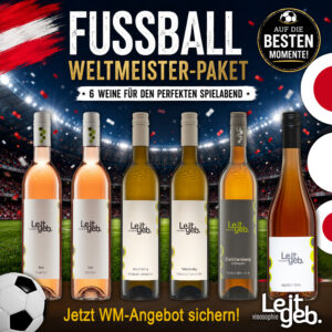 Fußball-WM-Paket | 6er Paket